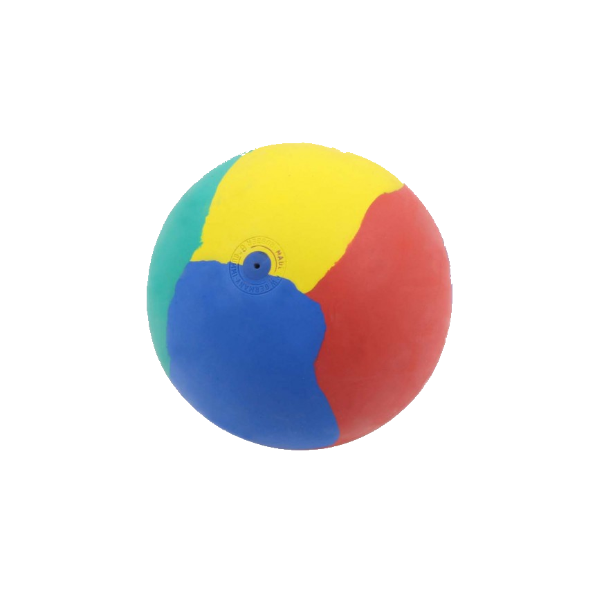 Sound Ball - Für Sehbehinderte gemacht - 16 cm - mehrfarbig