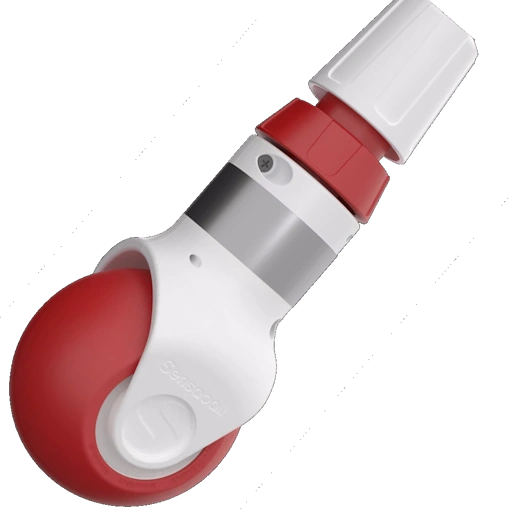 die Entwicklung des Sensaball